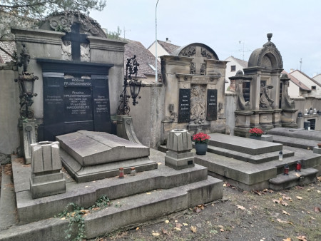 LN květiny